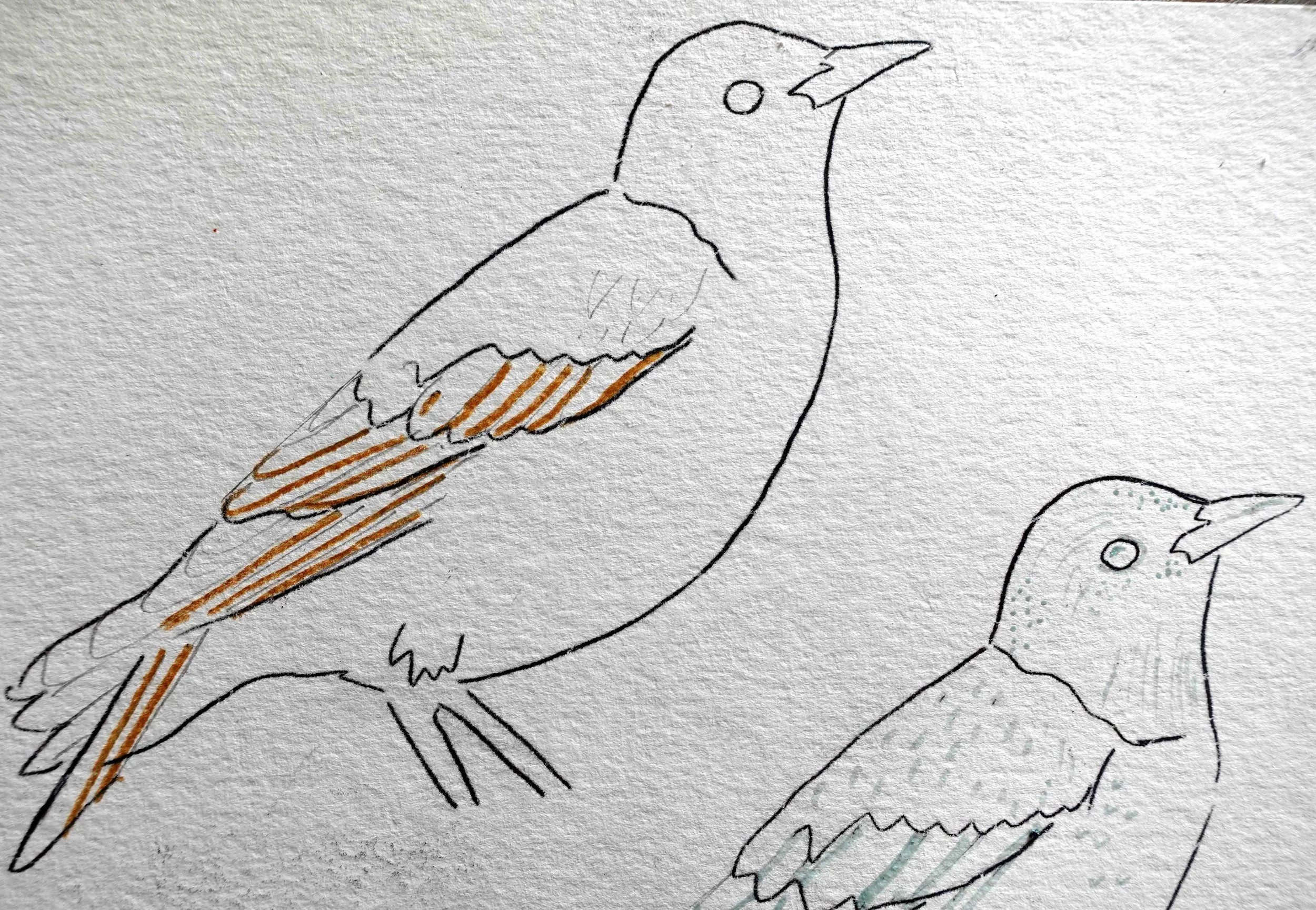 Starling 3.jpg