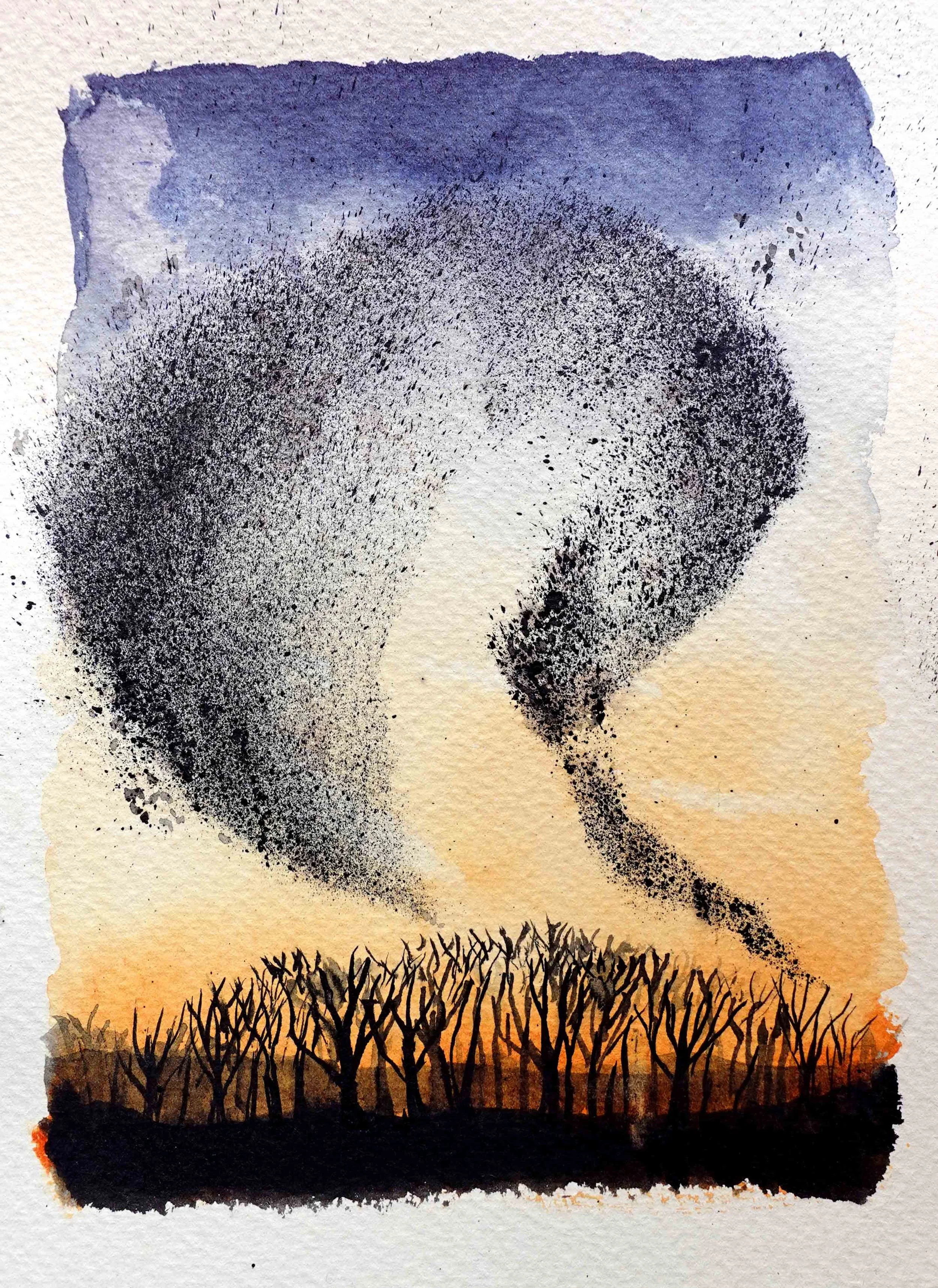 Murmuration.jpg