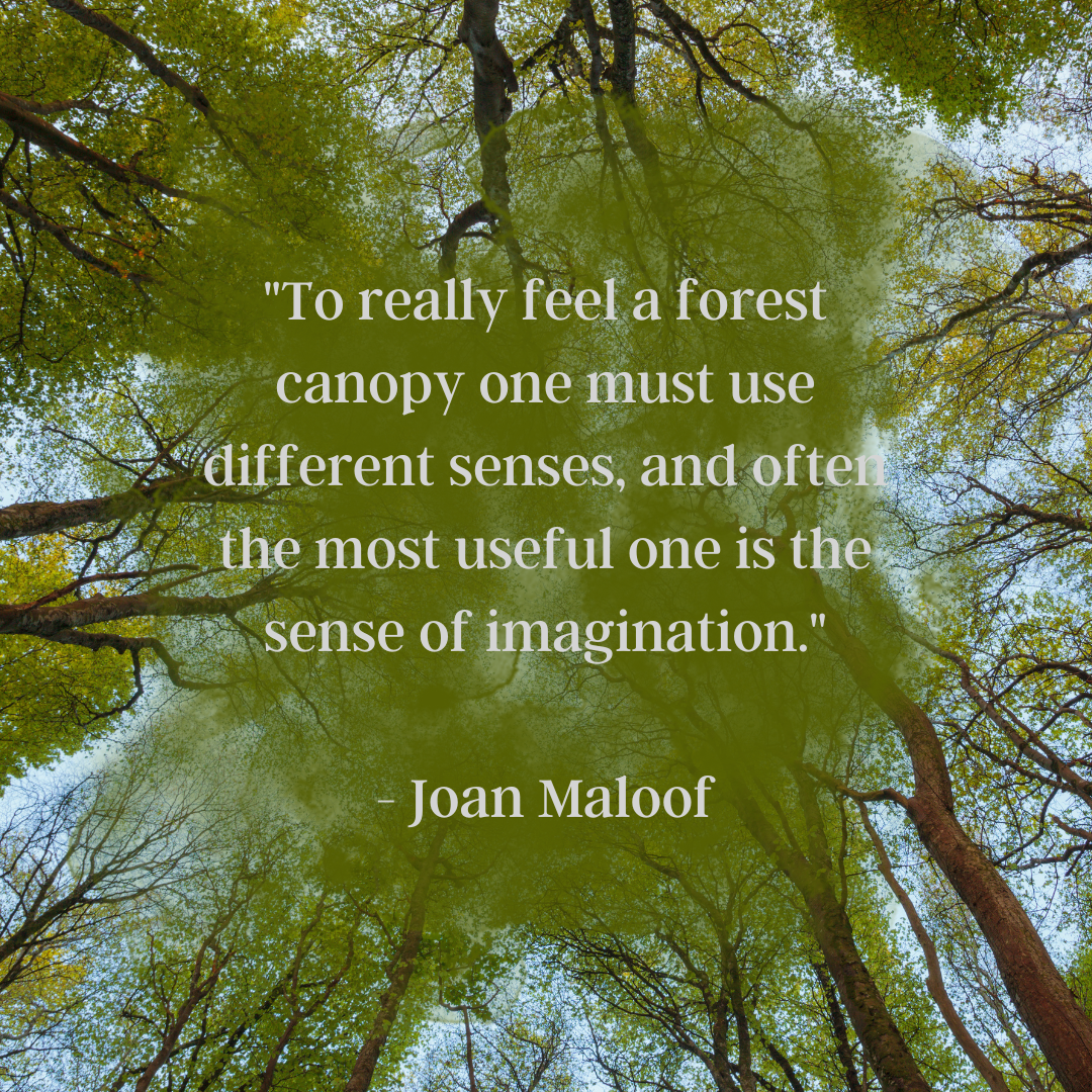 The Spirit of Trees Quotes (4).png