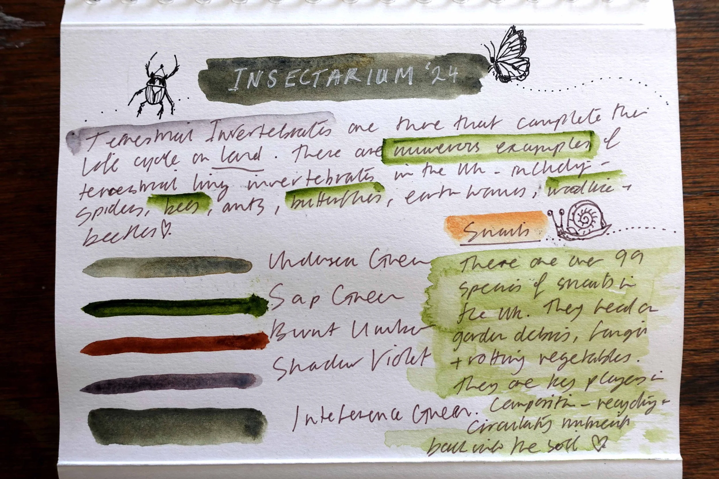 Sketchbook edit 1.jpg