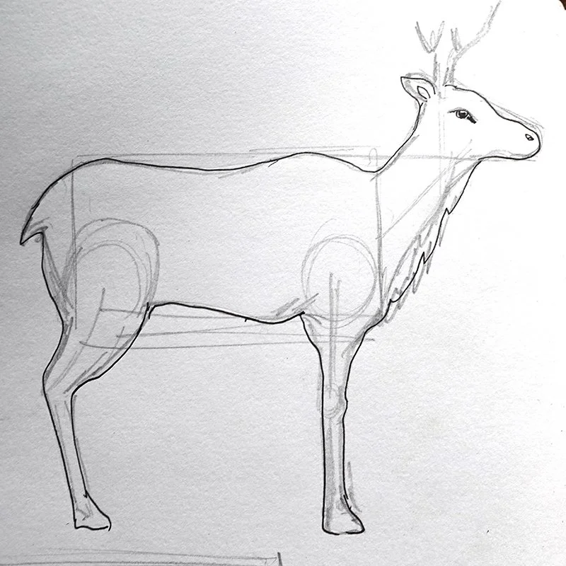 deer box.jpg