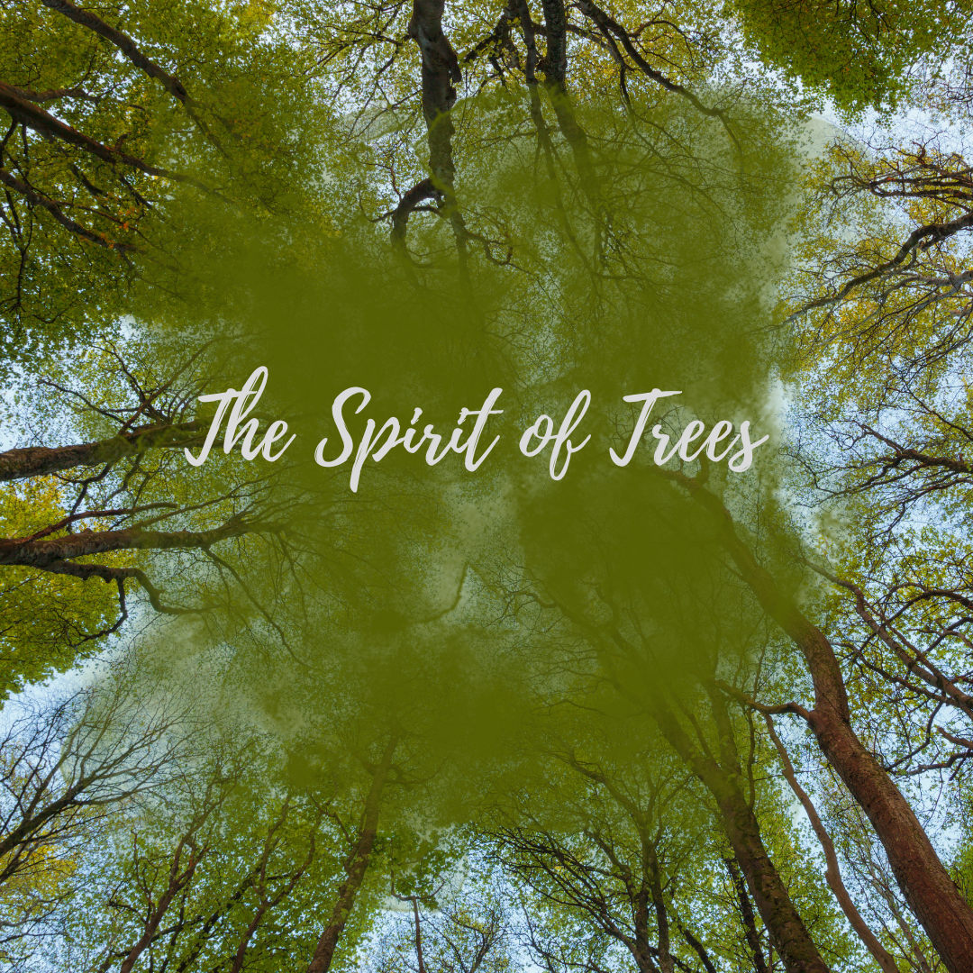The Spirit of Trees - Autumn Sketchbook Club Project — Ellie Green