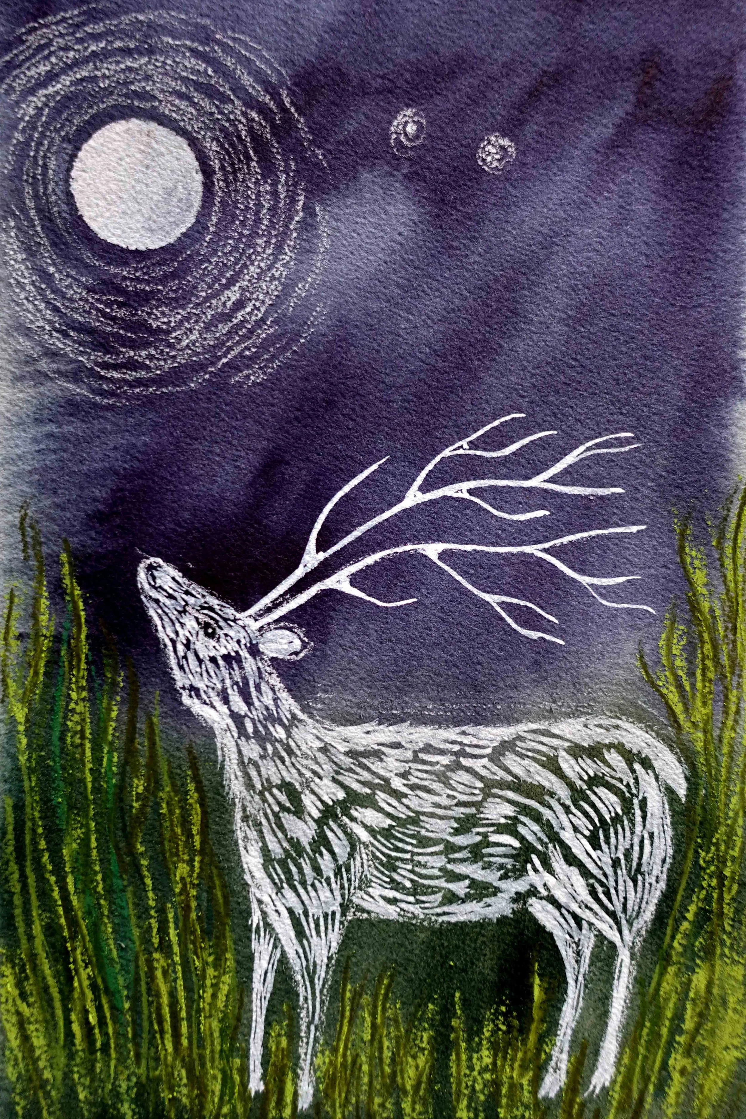 I deer 2.jpg