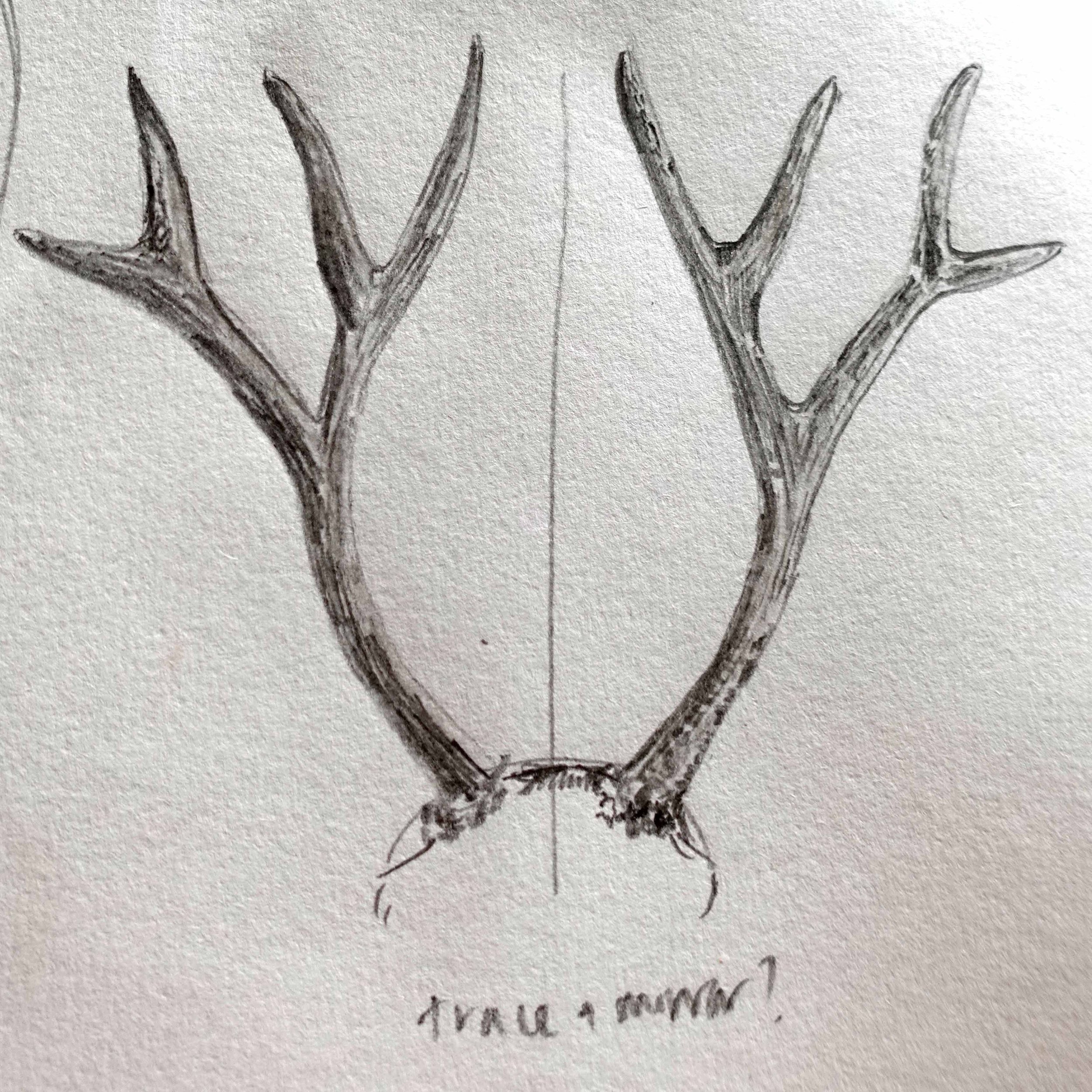 Sketch 2.jpg
