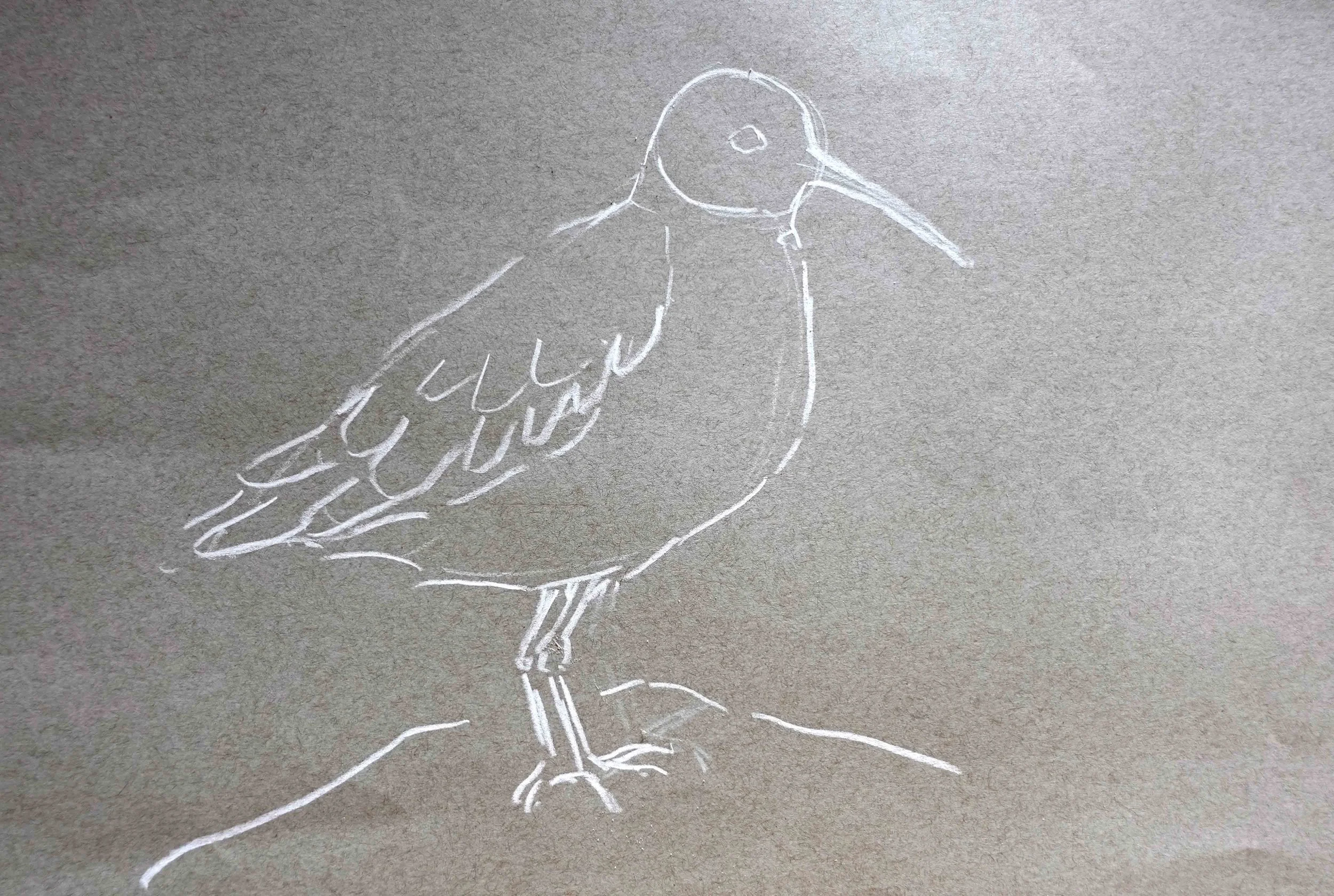 Dunlin 3.jpg