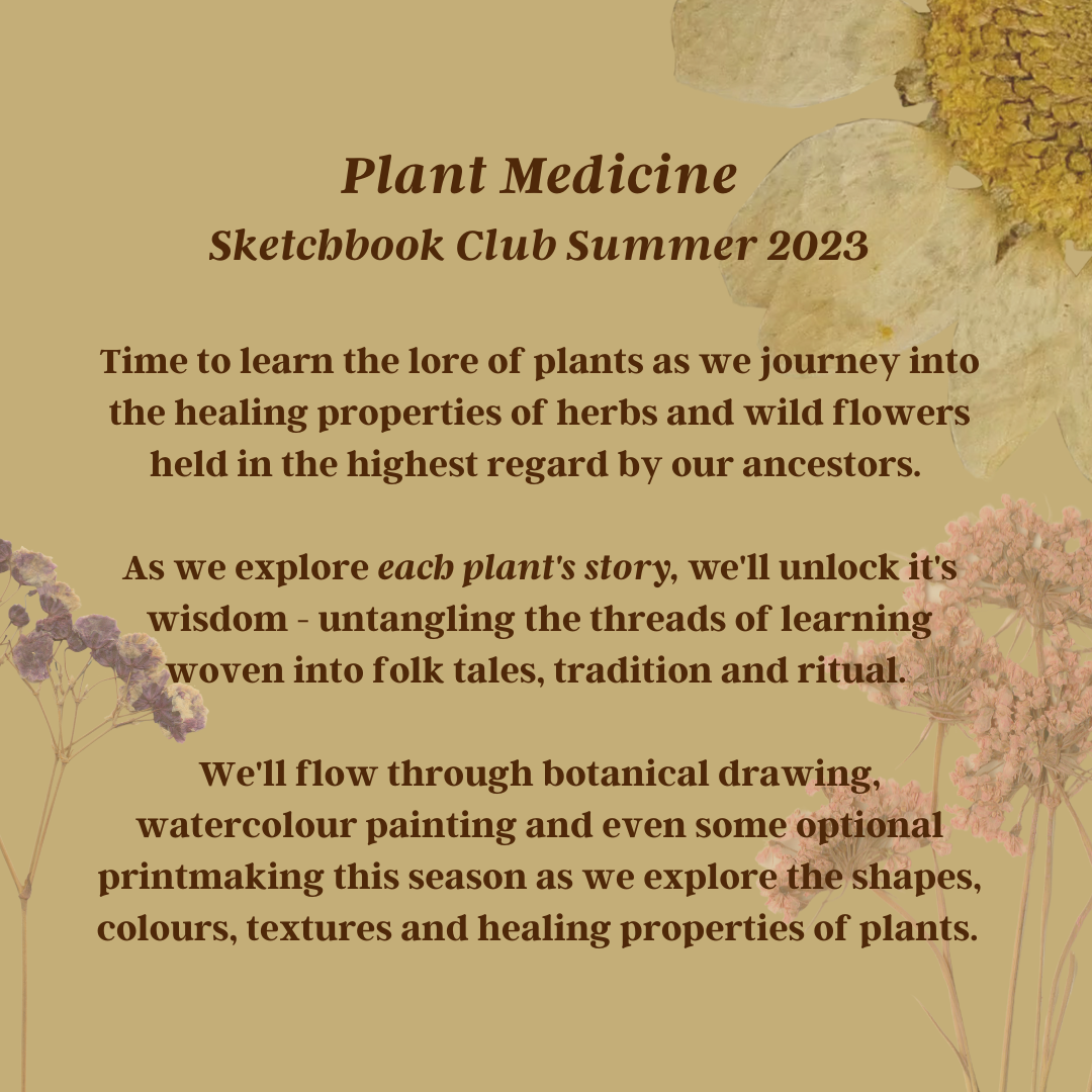 Plant Medecine (2).png