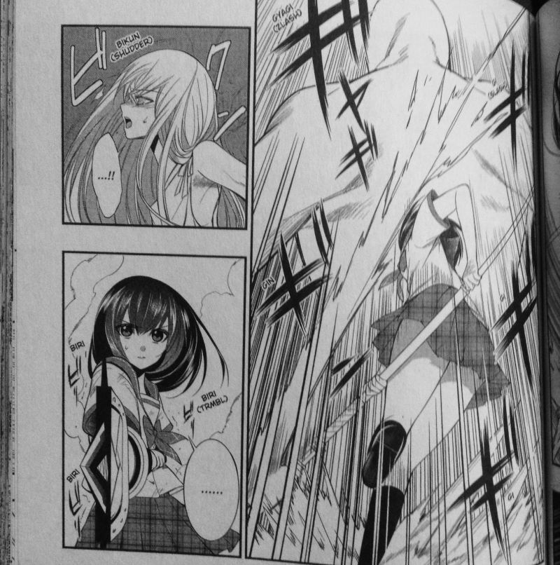 strike the blood vol 2 manga