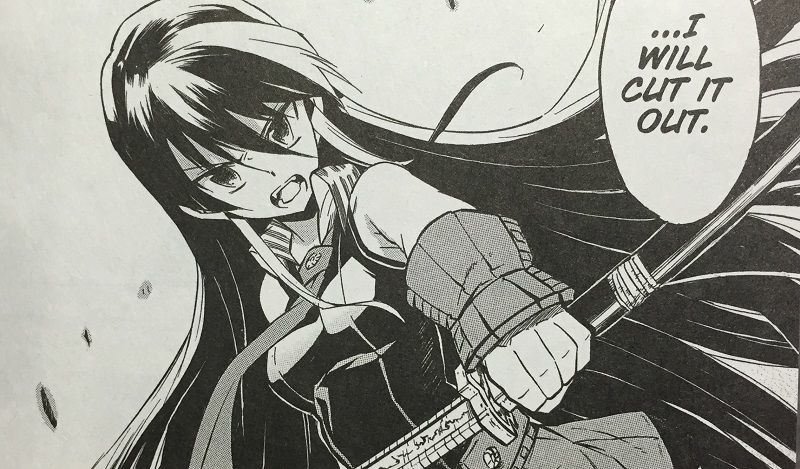 Akame ga Kill! Vol. 4 Review