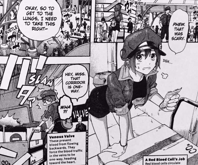 Cells at Work: Code Black [Manga Review]