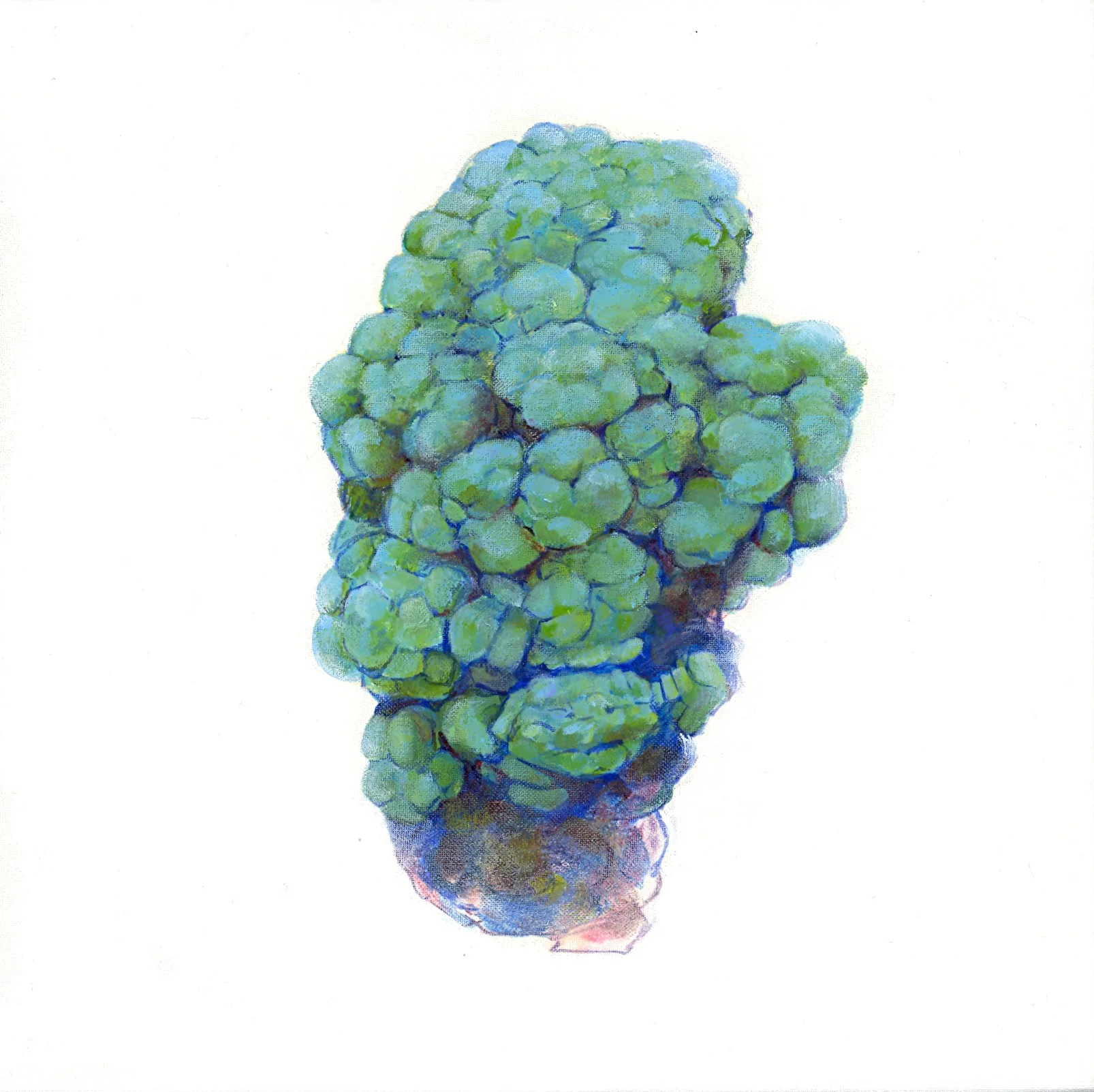 Malachite oil on linen on panel 8"x8" 2012