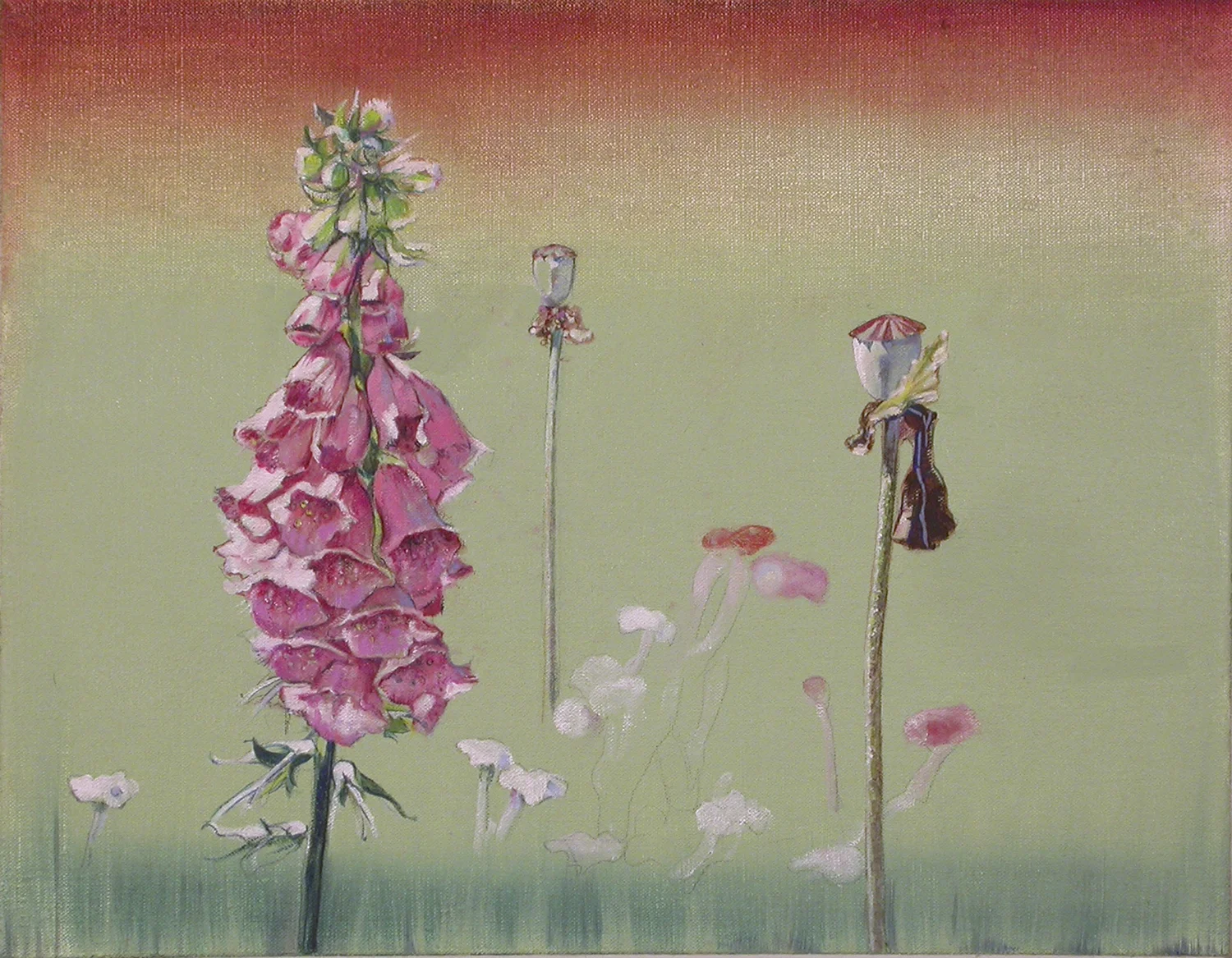 Sentinals for Foxglove oil on linen 18"x14", 2005 *