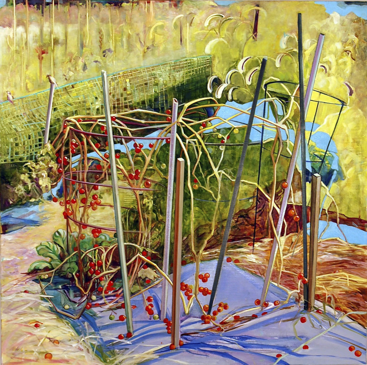   Cherry Tomatoes  oil on linen 30" x 30"&nbsp; 2009 