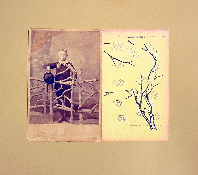 Plum Tree 2014