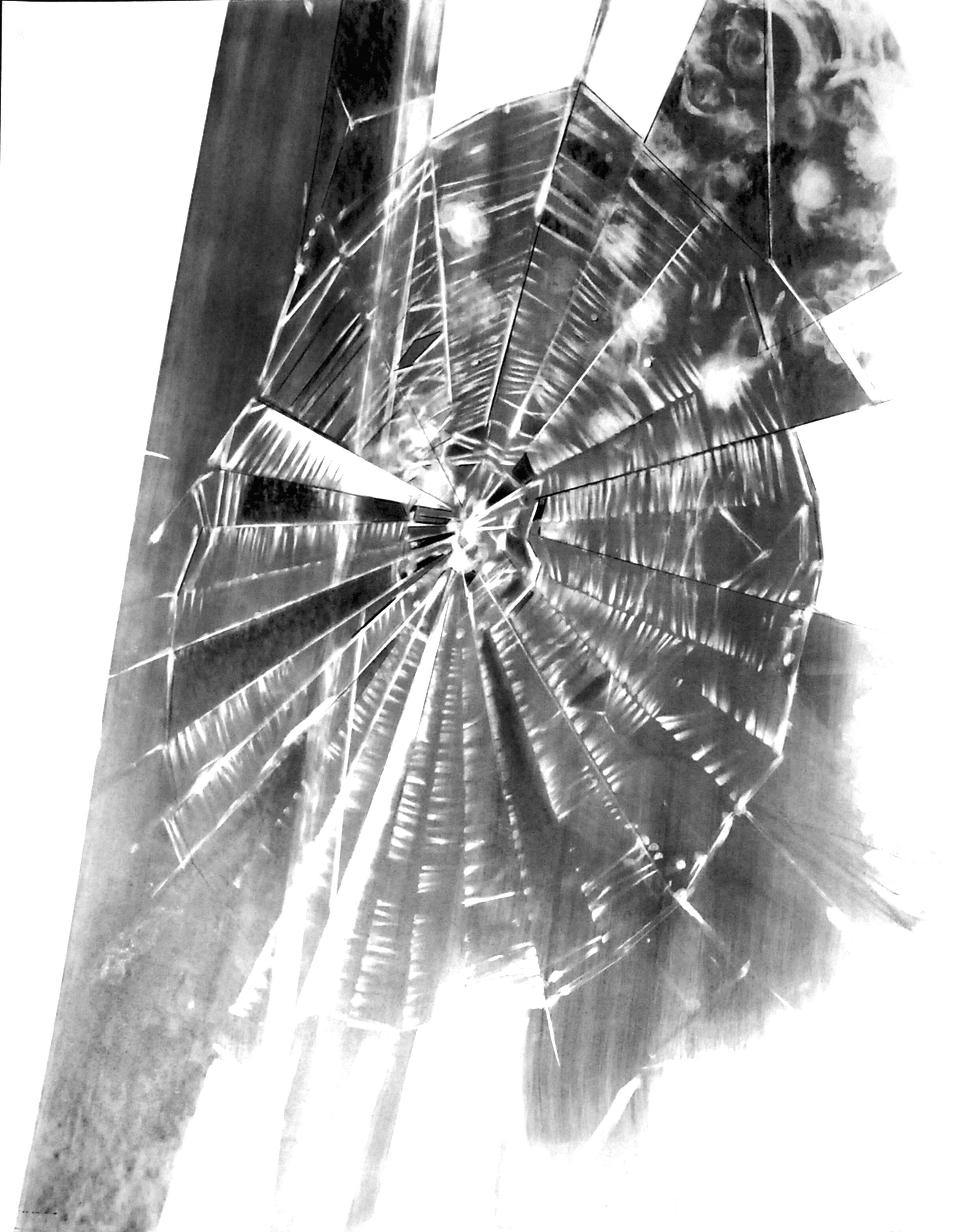   Spider Web   graphite on rives  23” x 29”  2007  