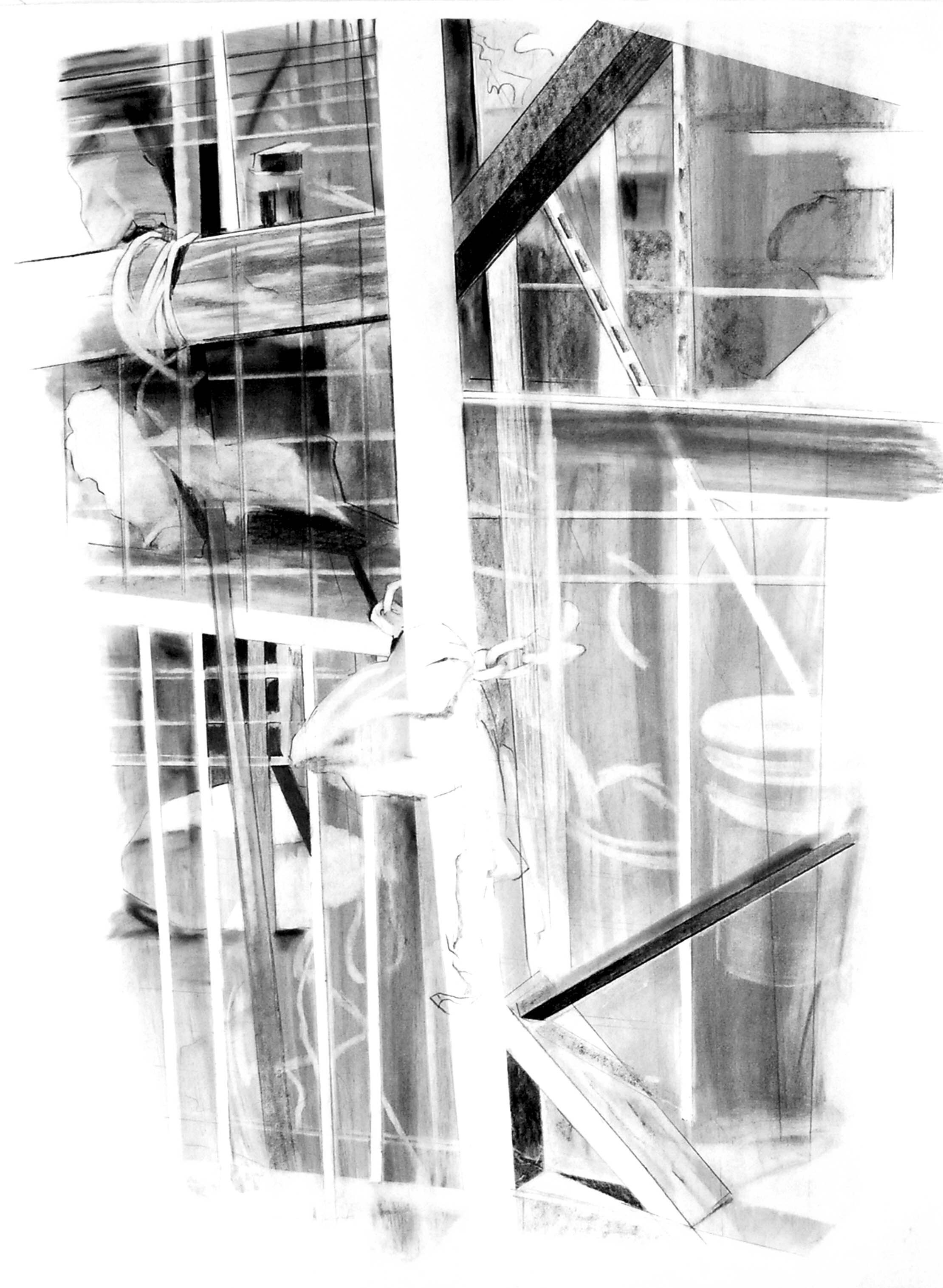   City Garden  charcoal on paper  22” x 30”  2007 
