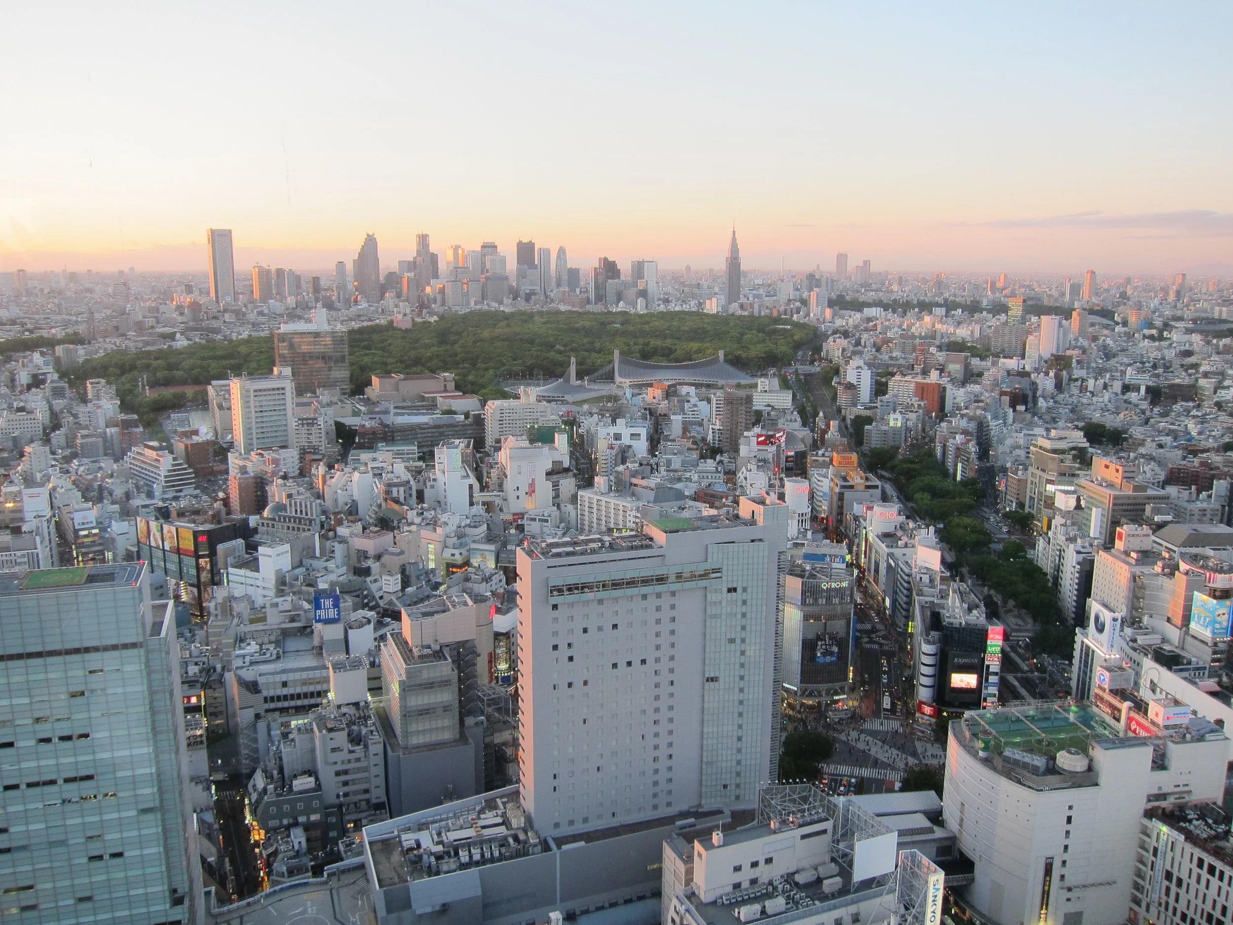 Japan 2013: Indigo Retreat & Kyoto/Tokyo Tour — Twofold