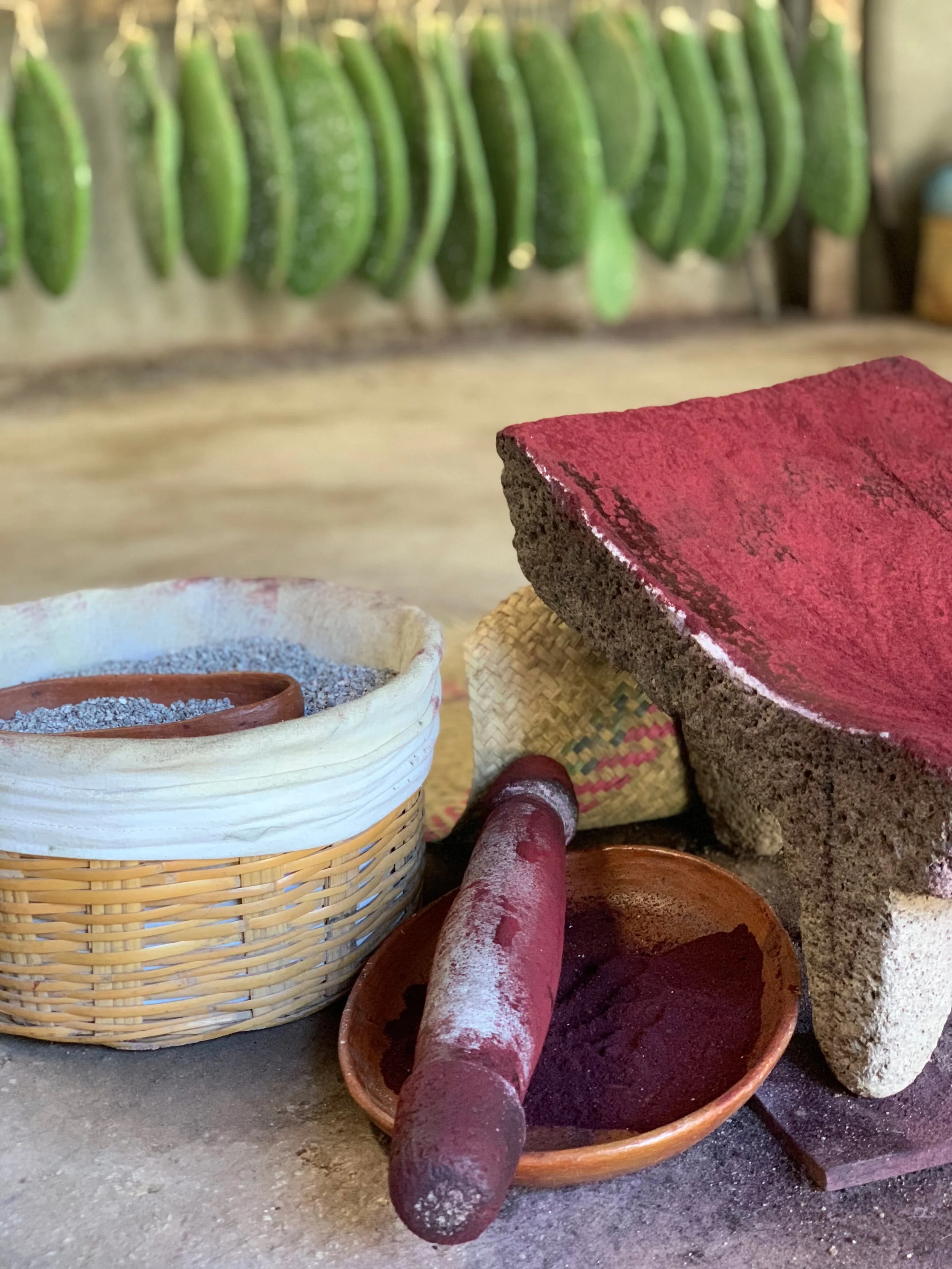 Learning to dye with cochineal,&nbsp;wild chamomile, zapote leaves and fruits, pecan leaves, huizache, lichen, marigold and indigo 🌿 I'm excited to announce that we're offering an optional post-tour extension to the Oaxaca Handmade tour later this y