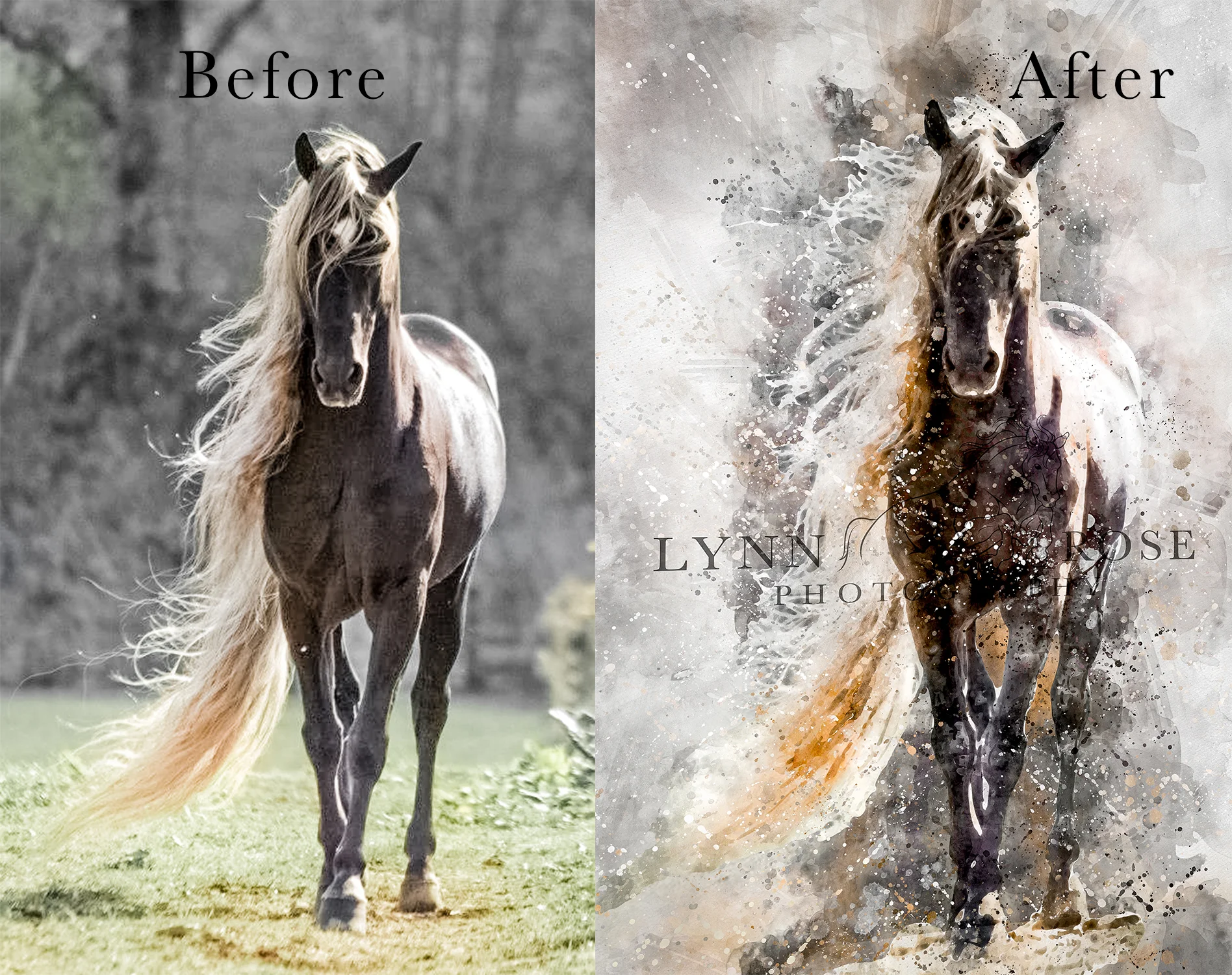 beforeandafter1.jpg
