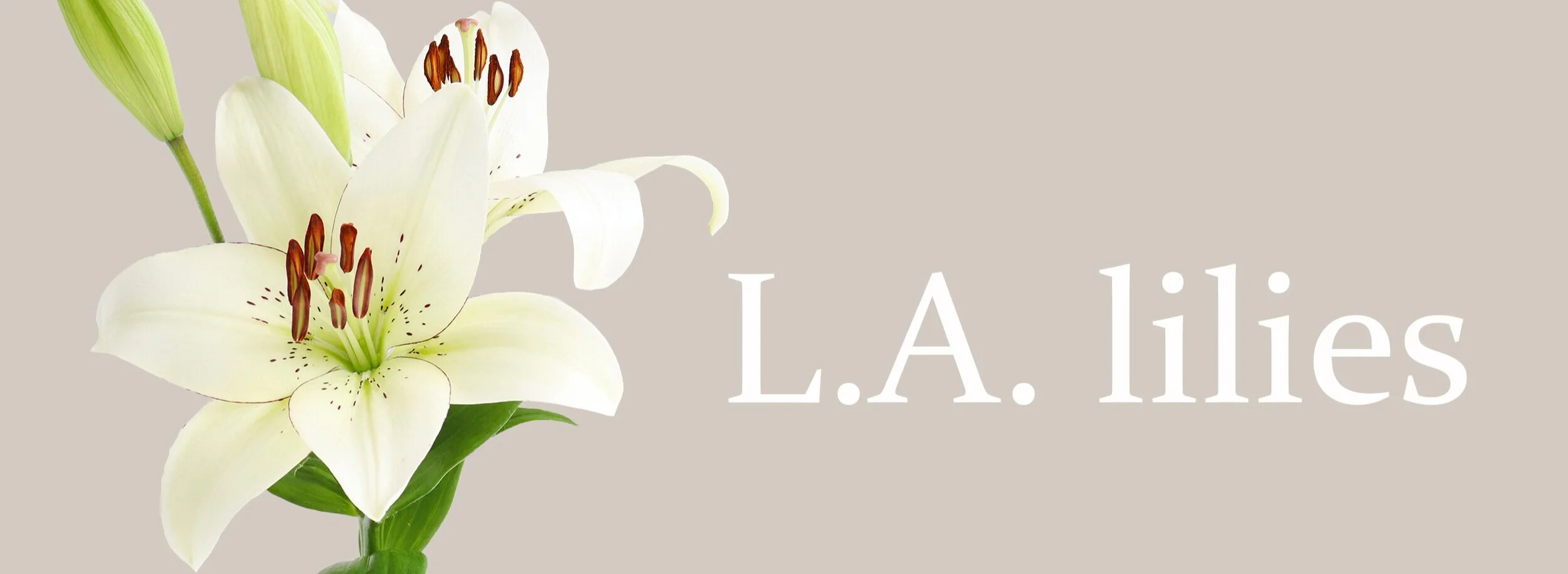 Banner+L.A.+lilies+2.jpg