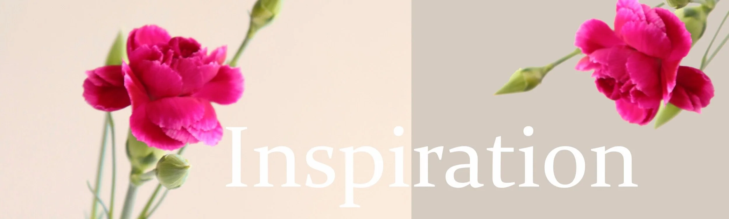 inspiration+2.jpg