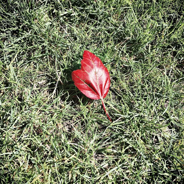 5 Essential Tips To Ease Into Autumn