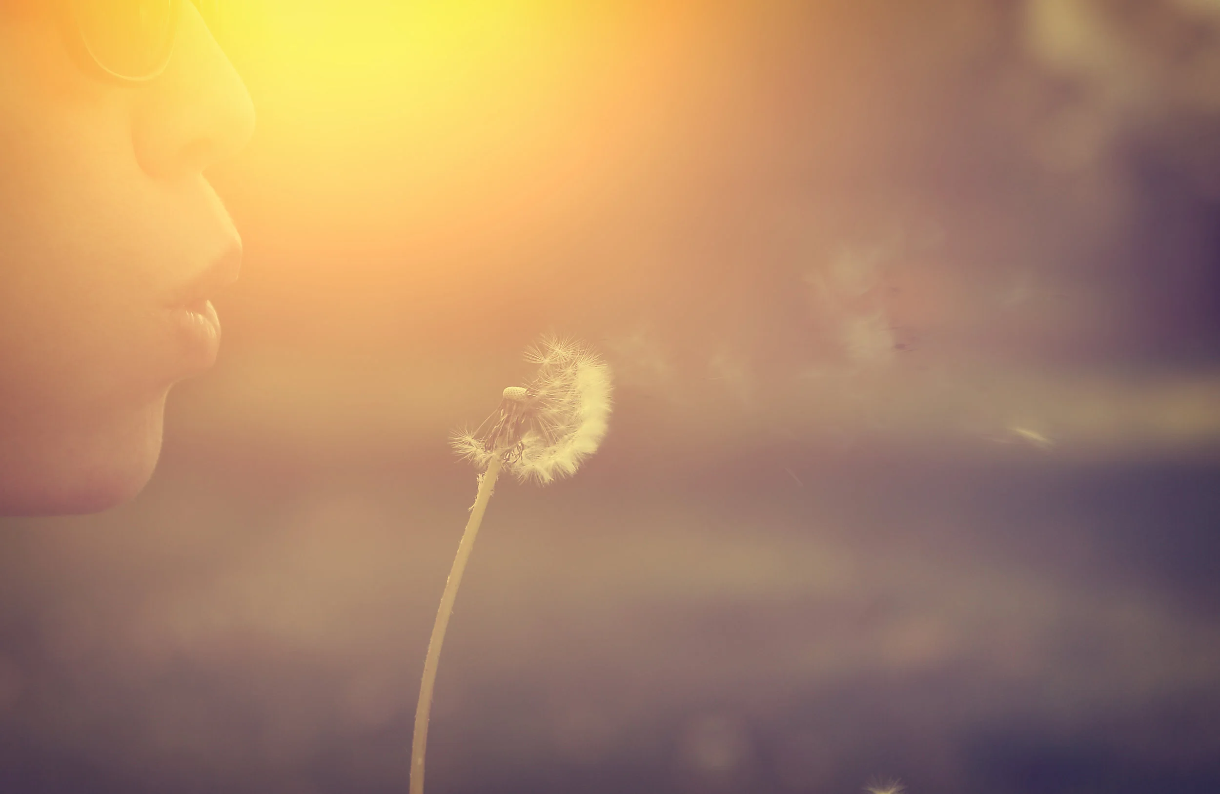 The fastest way to get where you want to be