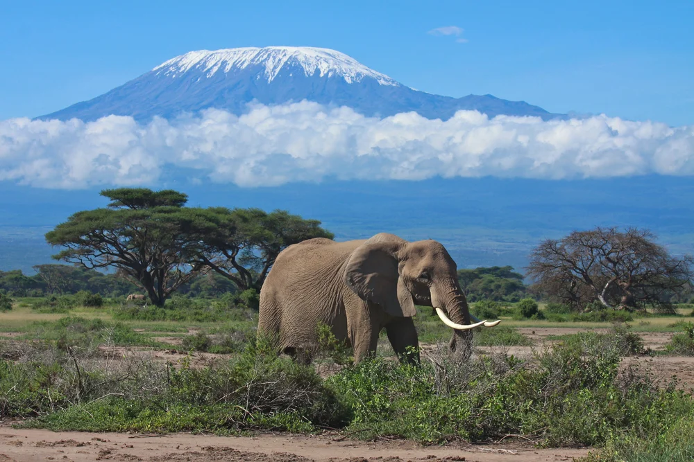 What is the best climbing route to Kilimanjaro?
