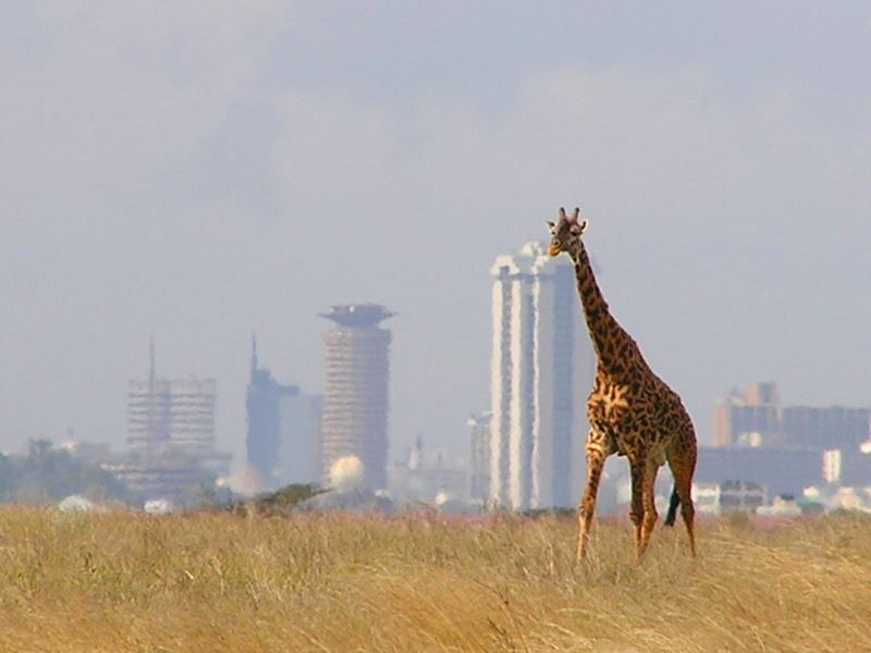 Kenya Nairobi NP.jpg