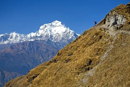Dhaulagiri trekking.jpg