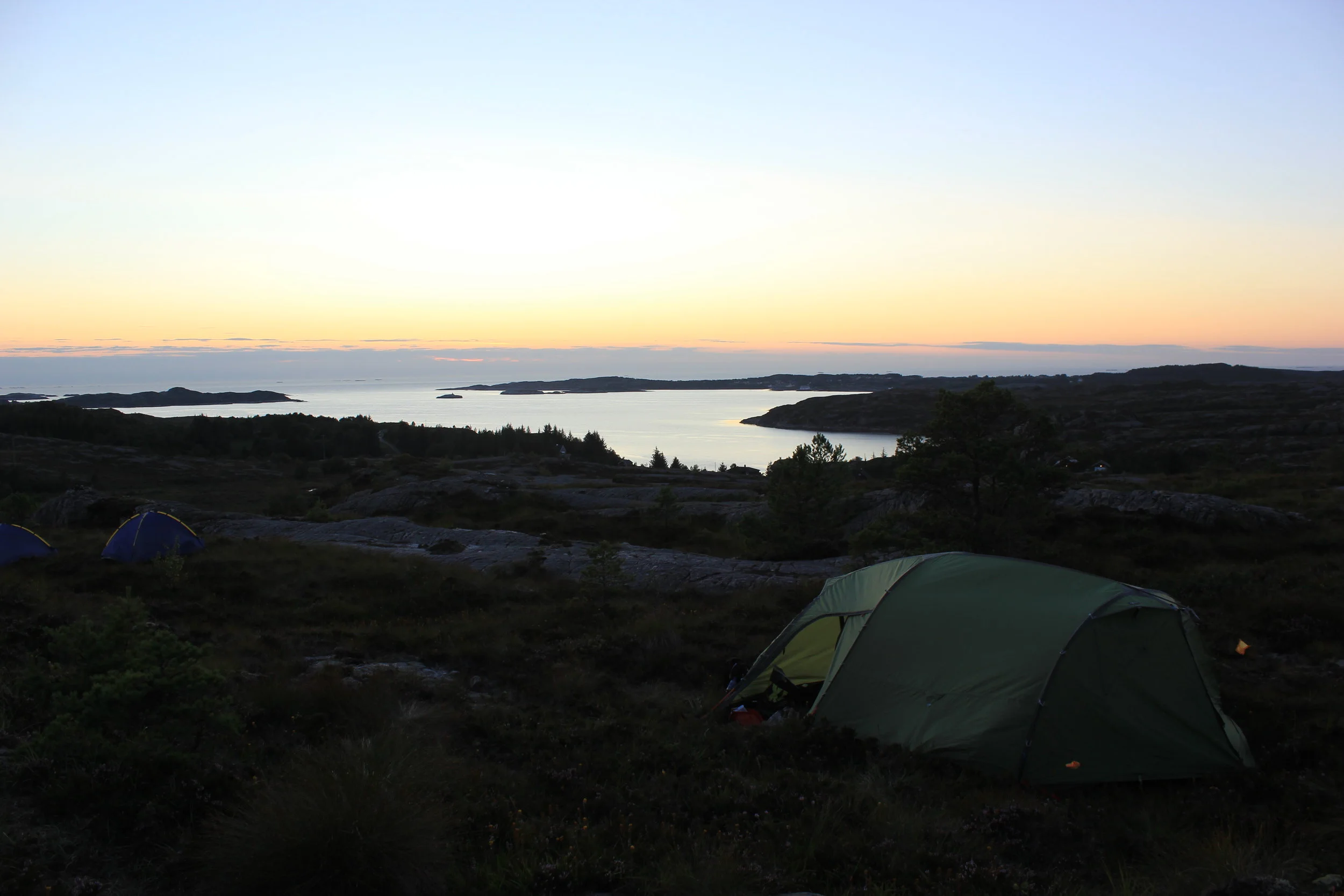 Norsk Gåsehud M.JPG