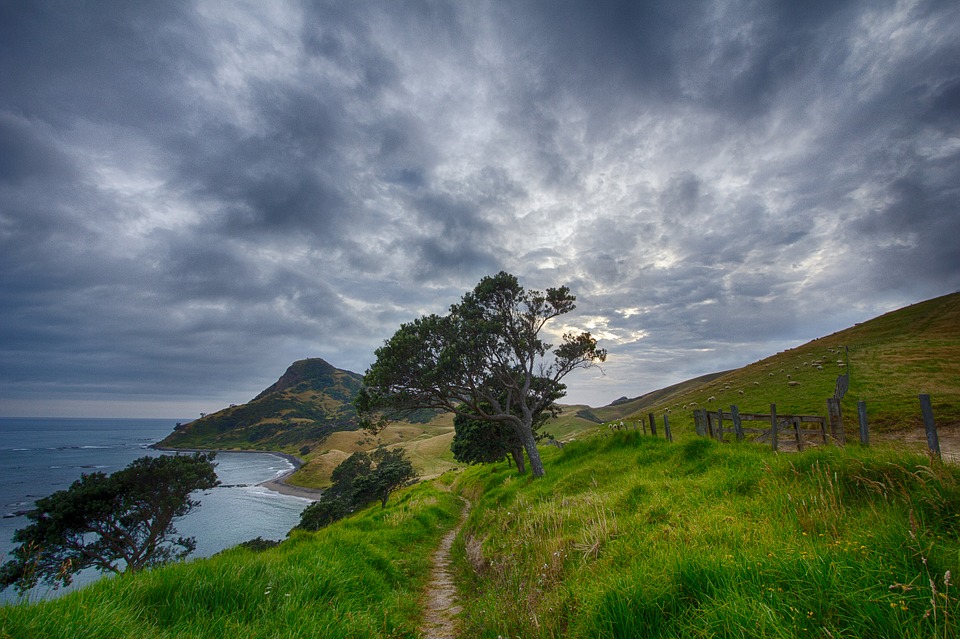 New Zealand hike.jpg