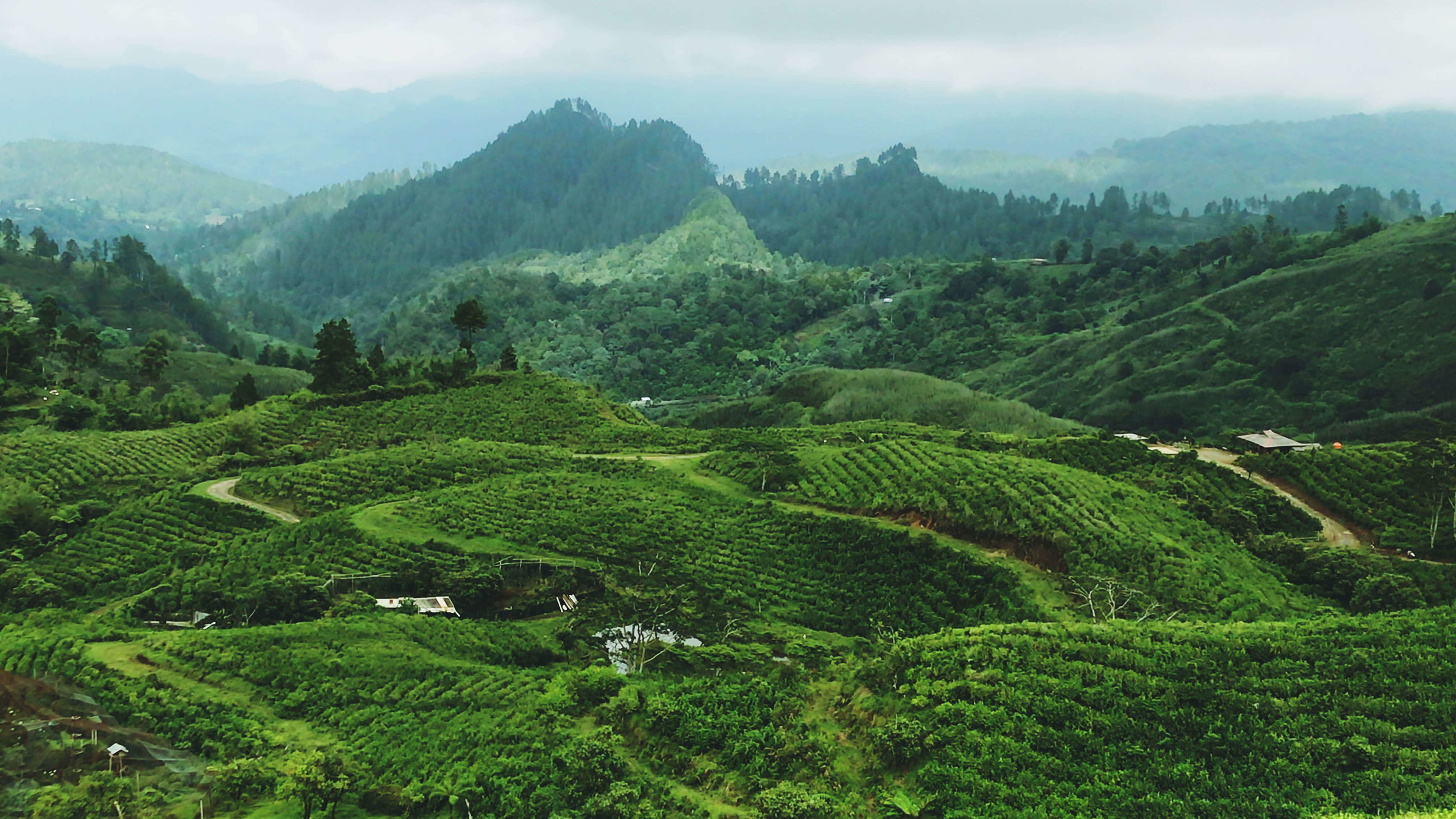 Sulawesi wonderful south.jpg