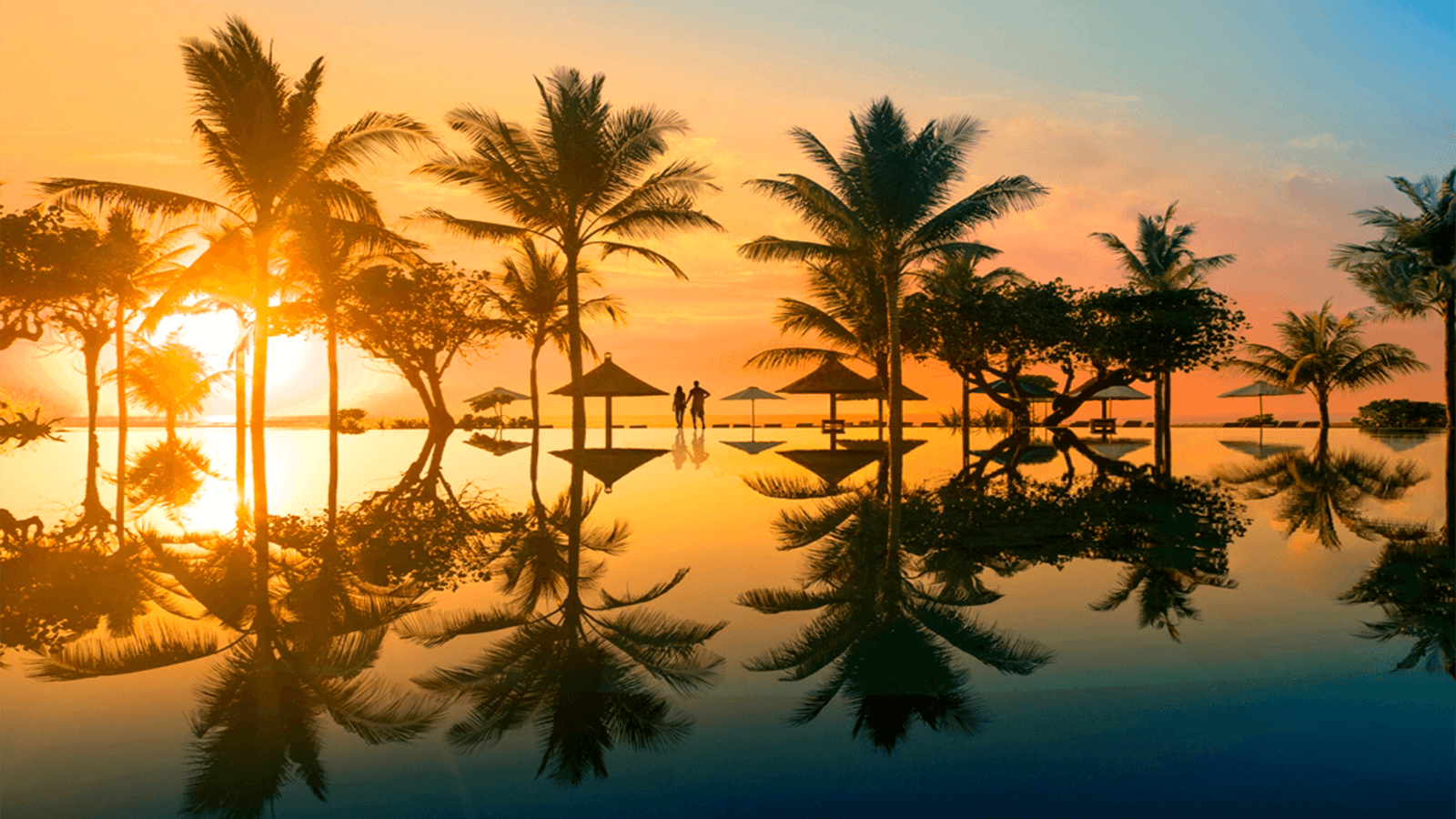 Sulawesi Enchanting.png