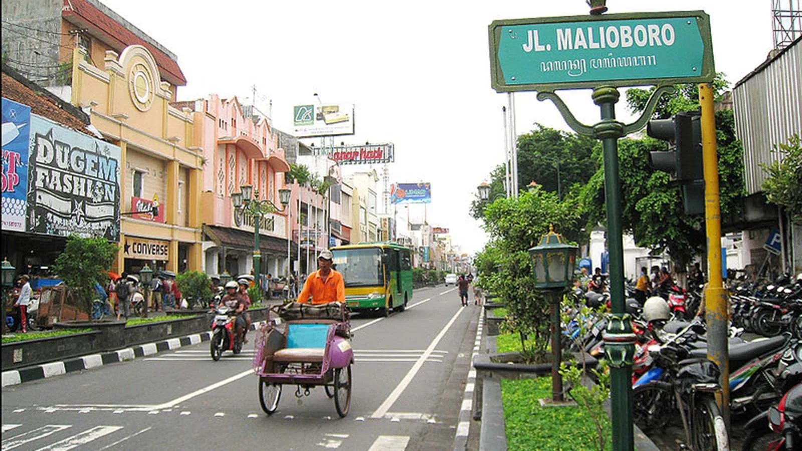 Java out and about.jpg