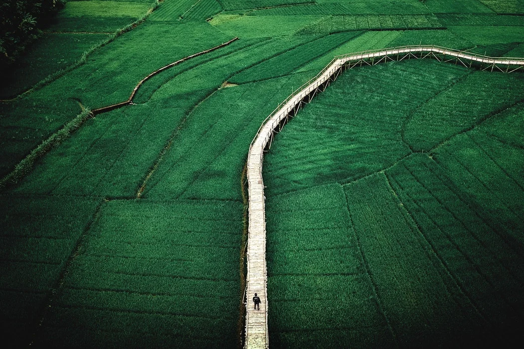 14 Days Java Grand Adventure