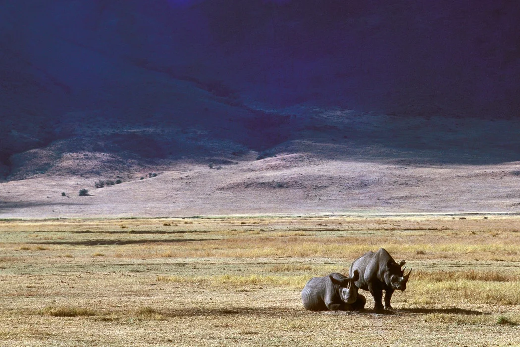 3 Days Ngorongoro Lake Manyara Safari