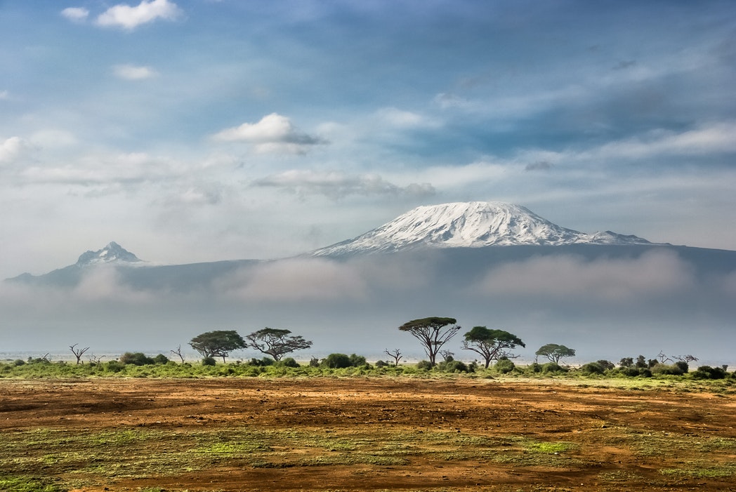 kilimanjaro f.jpg