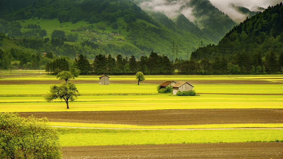 Switzerland farm.jpg