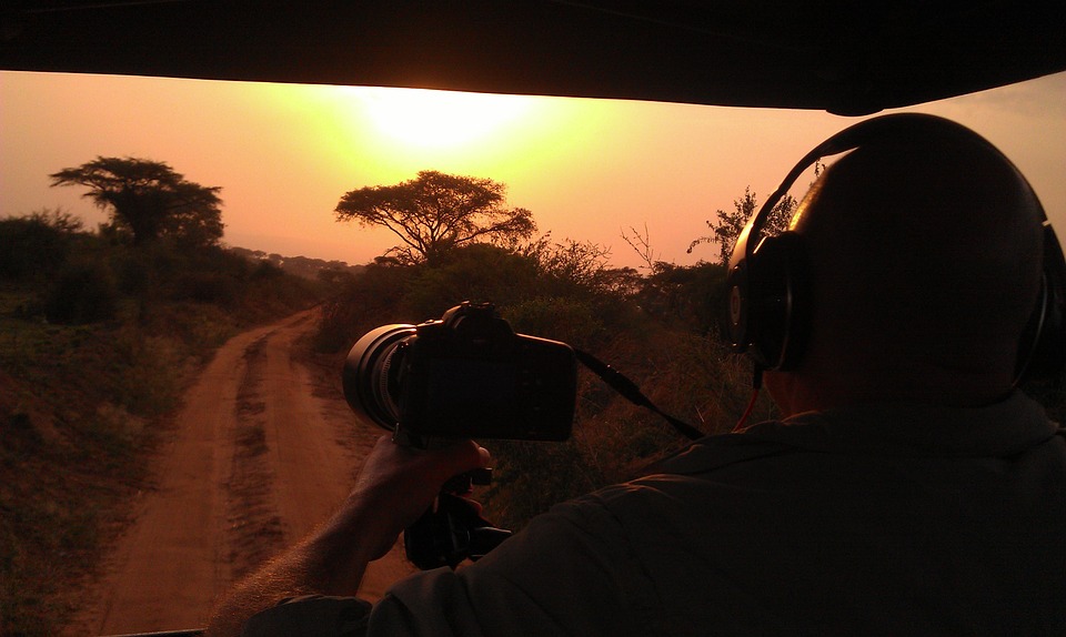 Safari in sunset