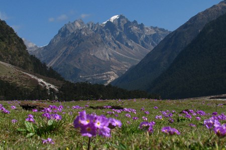 Himachal mountains