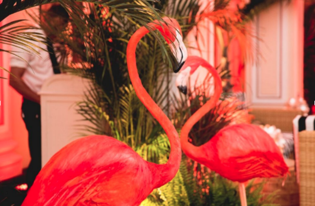 Screen Shot 2016-09-06 at 16.11.52.png