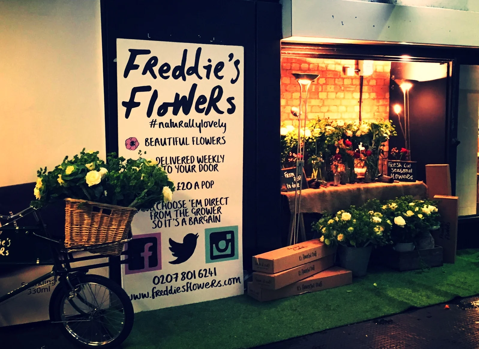 WhatsApp Image 2016-10-24 at 08.13.46.jpeg