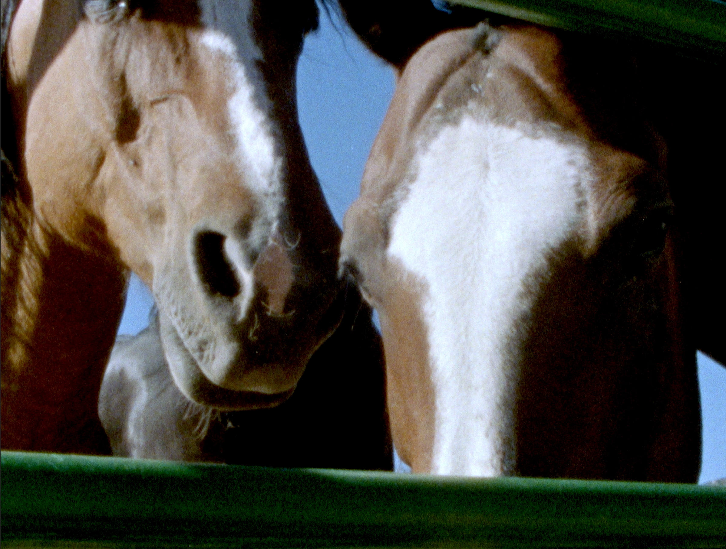 Screen Shot 2019-03-28 at 3.17.32 PM.png