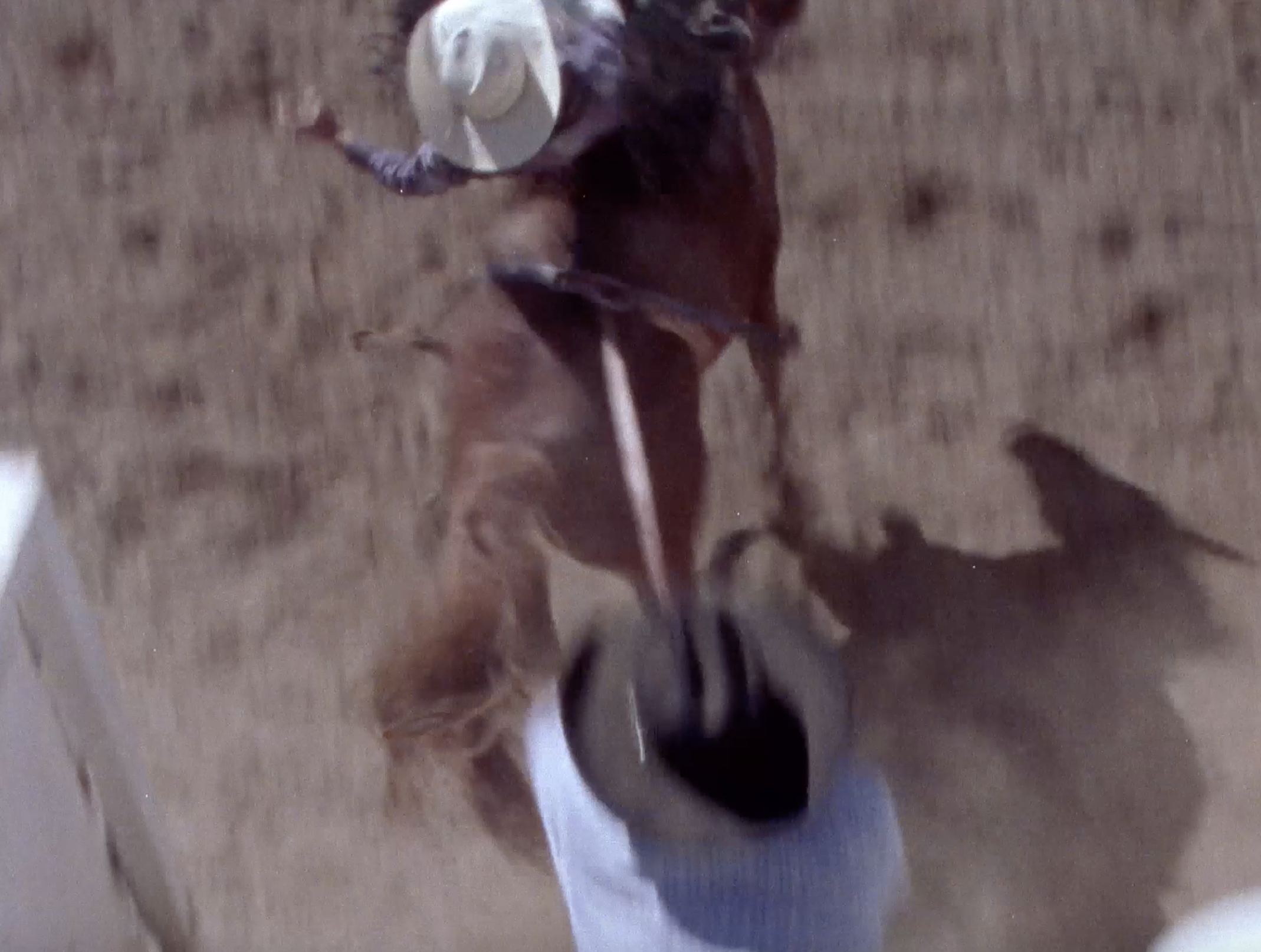 Screen Shot 2019-02-18 at 7.36.52 PM.png