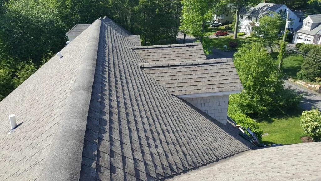 roof6.jpeg