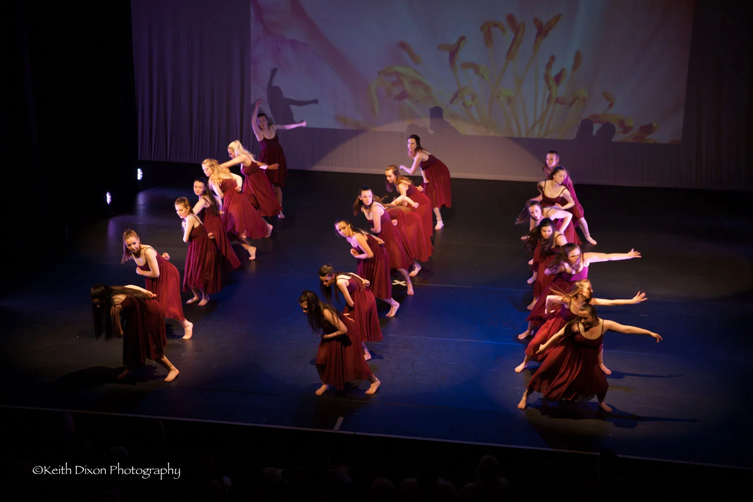 Kim Lyons Ballet ©Keith Dixon-15.jpg