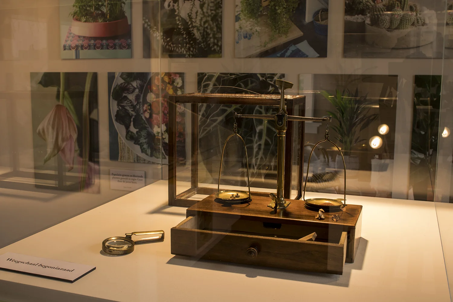 Madoc - LoS 15 - bc - lo res.jpg