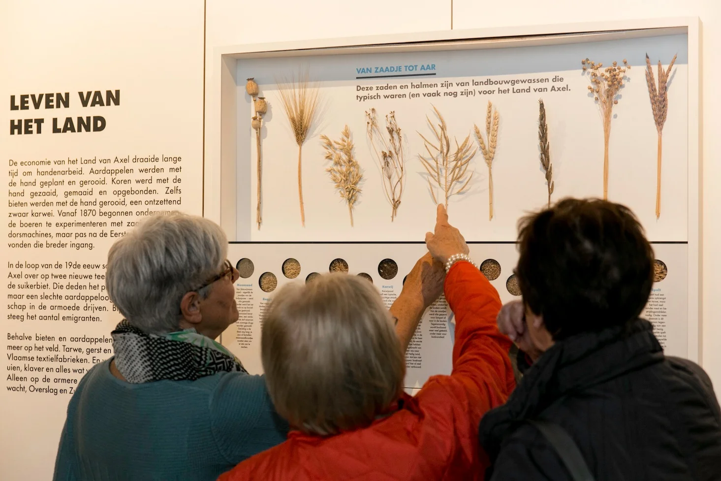 Het Warenhuis, Museum Land van Axel