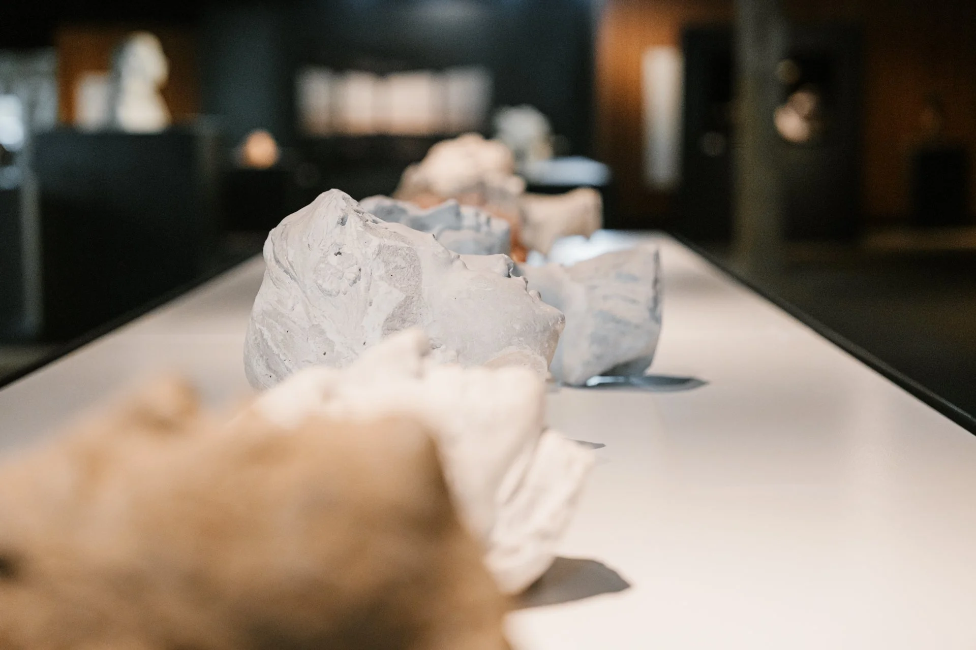 20230411 - MADOC - Westfront (c) Martin Corlazzoli -  COR08400.jpg