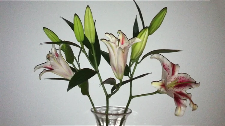 flowers.jpg